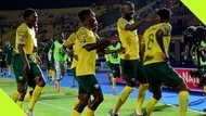 Bafana Bafana star snubs Kaizer Chiefs, joins another PSL side after Sundowns exit