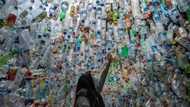 UN meet sees blitz of pledges to protect ailing oceans