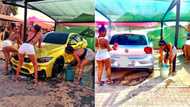 Atteridgeville car wash beauties hustle in style, SA applaud business model