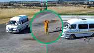 Hilarious video shows taxi dragged by tractor in Mpumalanga intersection, Mzansi roars with laughter