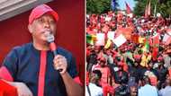 EFF praised for pulling off 2 protests in different provinces for gender based violence and Africa Day issues