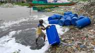 Global wildlife contaminated by 'forever chemicals'