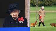 Queen Elizabeth II saddened after death of puppy gifted to her