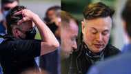 "The pandemic cut": Elon Musk's unusual new haircut gives the internet uncontrollable giggles