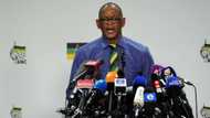 Ace Magashule: Controversial SG 'not stressed' as he plants trees