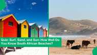 Quiz: Surf, Sand, and Sun: How Well Do You Know South African Beaches?