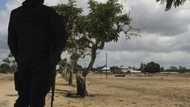 Life returns to Mozambique port city after bloody jihadist rule