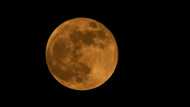Super blood moon: Dramatic photos emerge of annual lunar eclipse around the world
