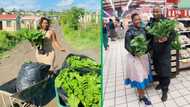 Eastern Cape female farmer beats unemployment, supplies fresh veggies to major retailer boxer