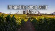 Top 20 interesting facts about South Africa you ought to know | Details for travellers