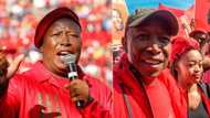 Julius Malema fan convinced EFF leader is prophet, Mzansi roasts man over outrageous claim