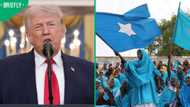 Trump insults Somalis at White House Easter lunch, sparks outrage by saying they are ‘low IQ’ people