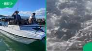 “Every shark in the ocean is here” Sardine Run turns sea into chaos off SA coast