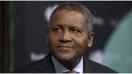 4 interesting new facts about Dangote as he leads Africa's richest list for the 11th year in a row