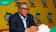 Fikile Mbalula returns to ANC campaign duties 17 days before Local Government Elections