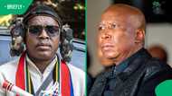 Why Ngizwe Mchunu avoided jail after Malema's latest court move