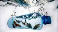 Plastic pollution: treaty talks get into the nitty-gritty