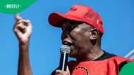 Julius Malema slams anti-immigration marches as 'clownish' and government-Sponsored Distractions