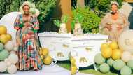 Relebogile Mabotja's baby shower was lit, photos show elegant celebration