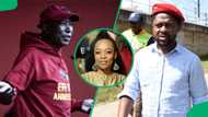 Mmabatho Montsho causes drama for Mbuyiseni Ndlozi as EFF leader Julius Malema takes digs at him