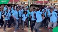 "The energy is wild": Kenyan learners’ amapiano dance wins hearts across Africa