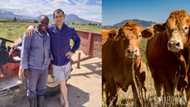 Cattle herdsman receives R100k for contribution to better environment