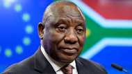 Cyril Ramaphosa's allies plan to protect him at ANC NEC meeting, says “He is more popular than the party”