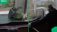 "This is not normal weather": Plettenberg Bay woman shows TikTok video of storm damage at her home