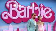 'Let's go party!' Barbie readies to paint world pink