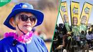 Helen Zille throws punches at ANC after party scraps mayoral candidate announcement