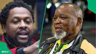Mbuyiseni Ndlozi praises acting police minister Gwede Mantashe, sparks debate