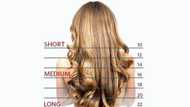 Hair length chart: Understanding types of hairs and and how to measure