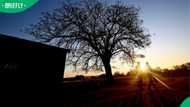 Gwakwani: How UJ turned Limpopo village into SA’s first smart village