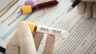 My mother-in-law secretly DNA-tested my son — Then a buried secret resurfaced