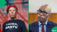Julius Malema denies links to Vusimuzi Cat Matlala, South Africa divided by EFF leader's statement