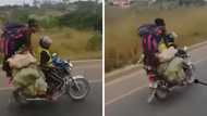 Motorbike passenger spotted leaning sack of vegetables with no helmet, South Africa left shocked