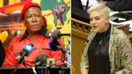 DA’s Natasha Mazzone slammed for labelling EFF supporters “highly uneducated” while calling out Julius Malema