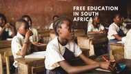 How to get free education in south Africa