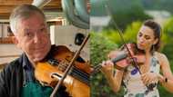 Vegan violins: Creative craftsman designs and creates 1st violin from pears and berries