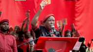 EFF plans to convert buildings in Sandton into housing for the poor, plans to improve healthcare