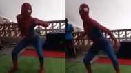 "Sipho man": Locals filled with laughter at SA Spiderman's dance moves