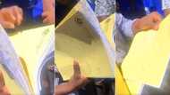 Mzansi giggling over TUT student who got 0/50 for exam, but some can totally relate