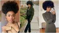 Beautiful lady rocks her natural hair: Stunning photos go viral