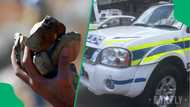 Officer struck by rock responding to mob attack at Limpopo high school