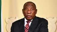 Ramaphosa endorsed for second term, Limpopo ANC region to mobilise more support