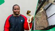 Meet the fearless South African man who has been handling snakes since the age of 2