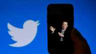 Twitter scrambles to curb spread of fake accounts