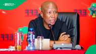 EFF President Julius Malema weighs in on gun discharge conviction