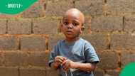Body of missing 3-year-old found in Roodepoort dam