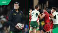 Erasmus shares his views on Etzebeth’s red card in Springboks’ win over Wales